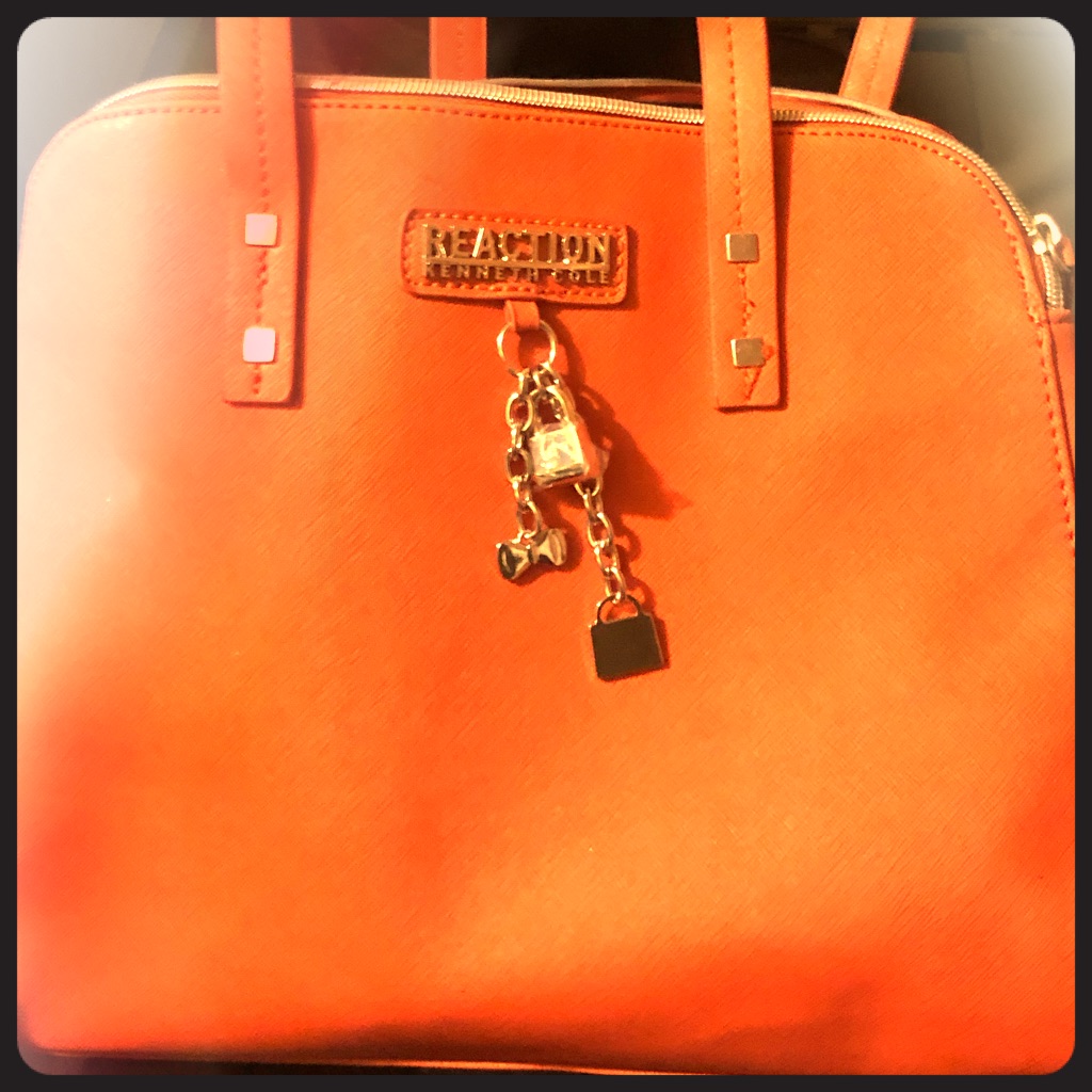 Brand New Reaction Kenneth Cole Purse